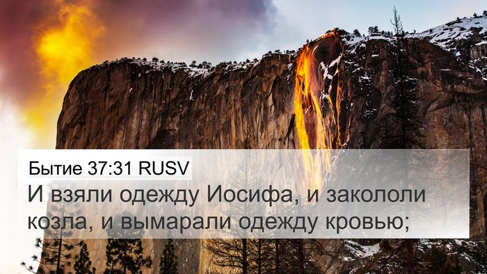 Бытие 37:31 RUSV 4K Wallpaper - И взяли одежду Иосифа, и - 4K Wallpaper Bible Verse