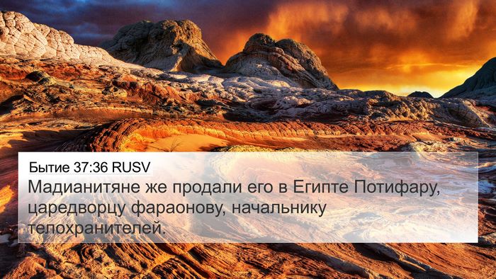 Бытие 37:36 RUSV Bible Verse Image
