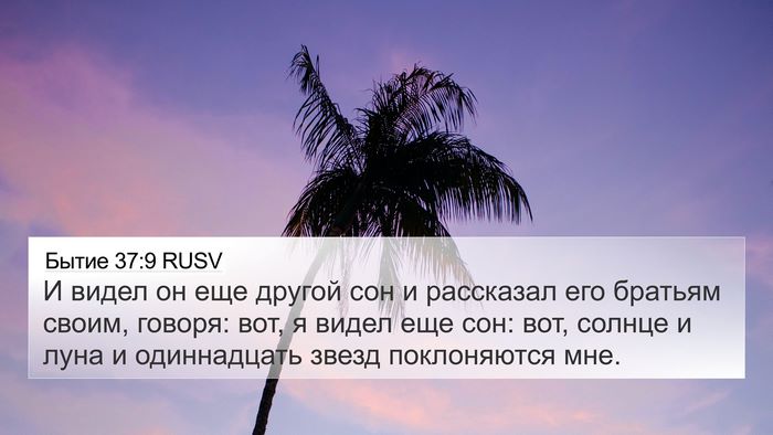 Бытие 37:9 RUSV Bible Verse Image