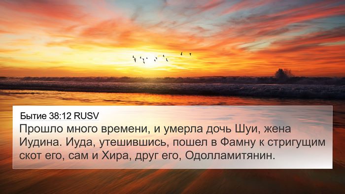 Бытие 38:12 RUSV Bible Verse Image