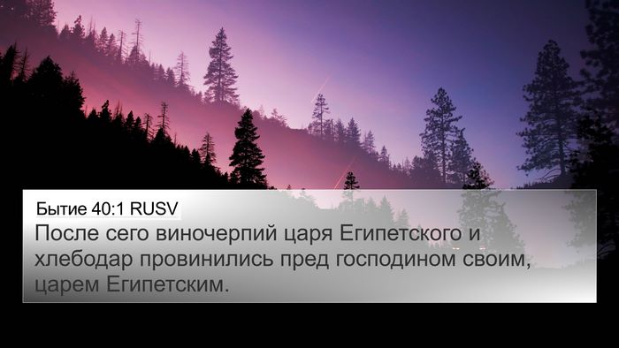 Бытие 40:1 RUSV 4K Wallpaper - После сего виночерпий царя - 4K Wallpaper Bible Verse