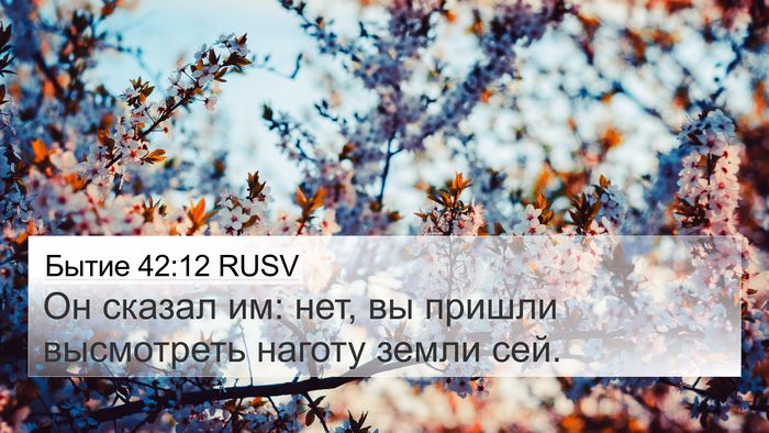 Бытие 42:12 RUSV Bible Verse Image