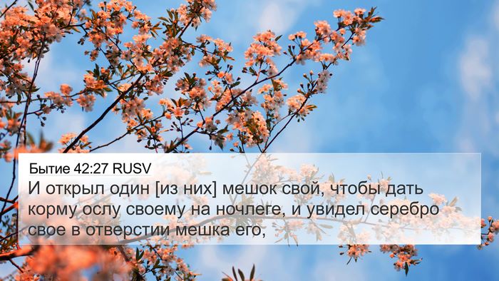 Бытие 42:27 RUSV Bible Verse Image