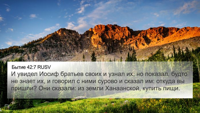 Бытие 42:7 RUSV Bible Verse Image