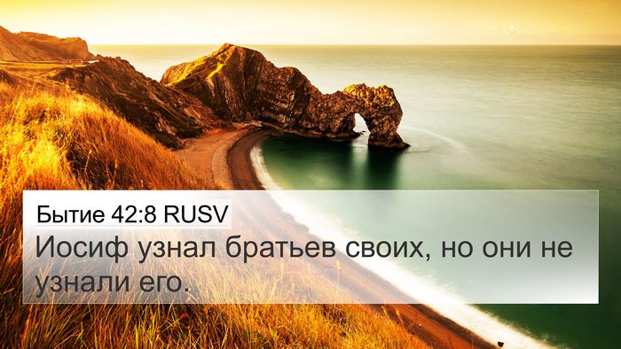 Бытие 42:8 RUSV 4K Wallpaper - Иосиф узнал братьев своих, - 4K Wallpaper Bible Verse