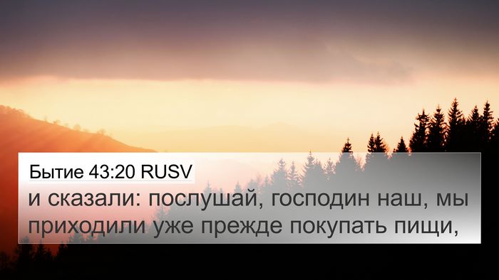Бытие 43:20 RUSV Bible Verse Image