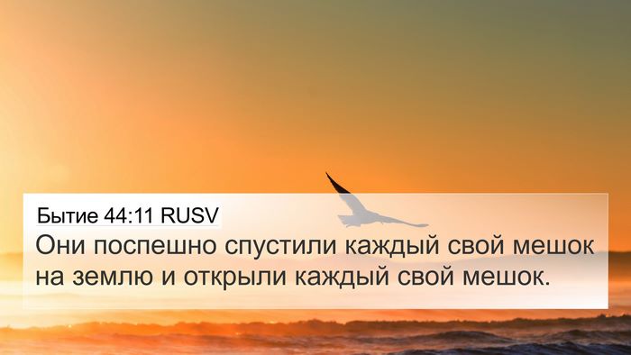 Бытие 44:11 RUSV Bible Verse Image