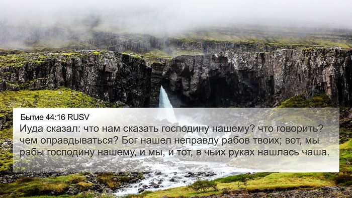 Бытие 44:16 RUSV Bible Verse Image
