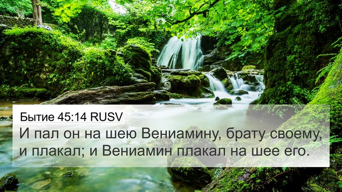 Бытие 45:14 RUSV Bible Verse Image