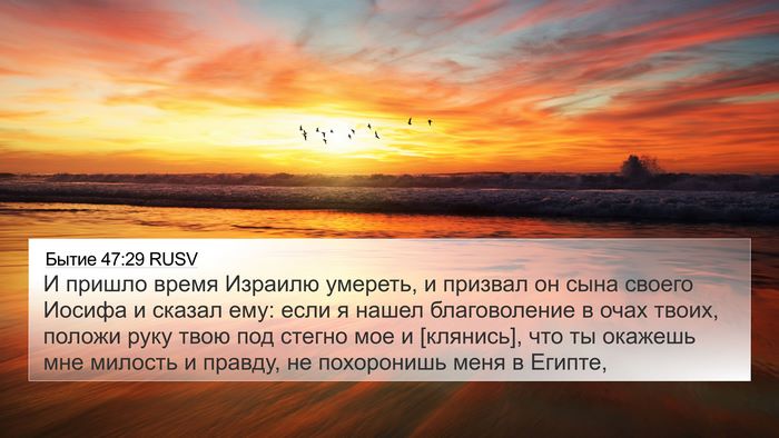 Бытие 47:29 RUSV Bible Verse Image