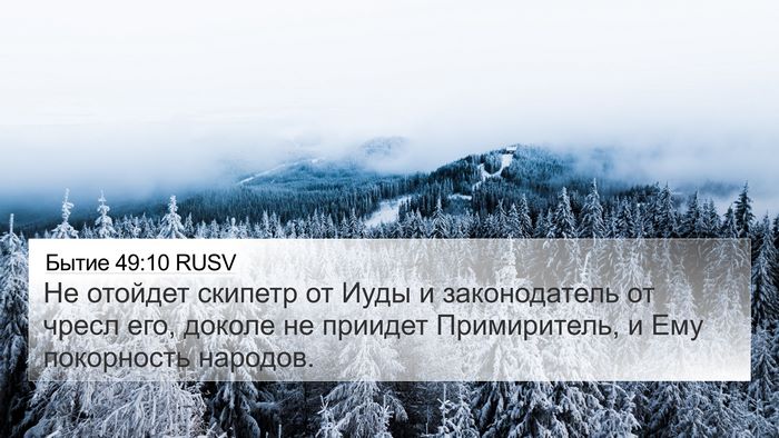 Бытие 49:10 RUSV Bible Verse Image