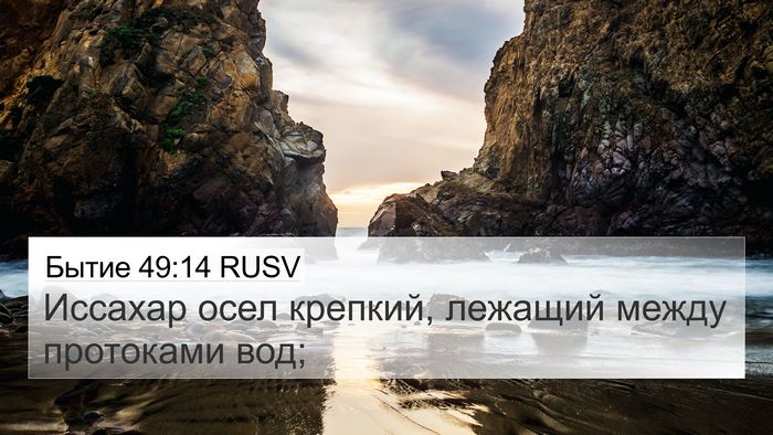 Бытие 49:14 RUSV Bible Verse Image