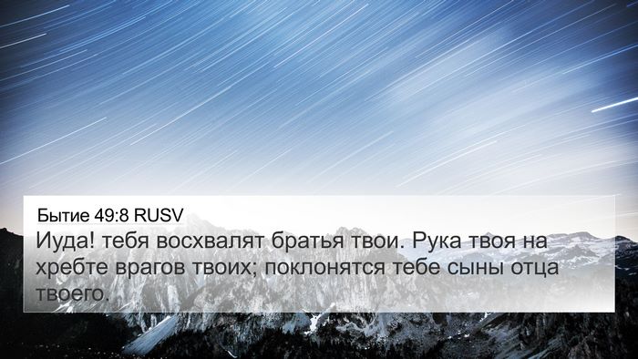 Бытие 49:8 RUSV Bible Verse Image