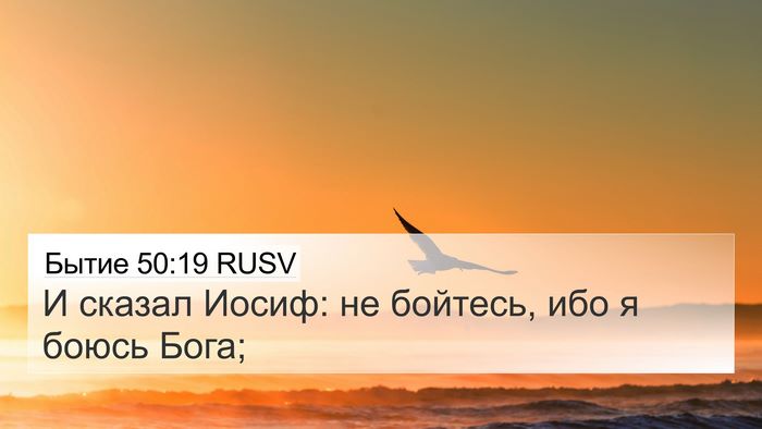 Бытие 50:19 RUSV 4K Wallpaper - И сказал Иосиф: не бойтесь, - 4K Wallpaper Bible Verse