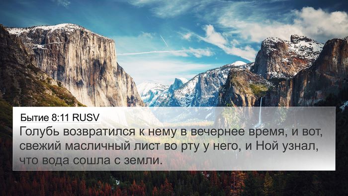 Бытие 8:11 RUSV Bible Verse Image