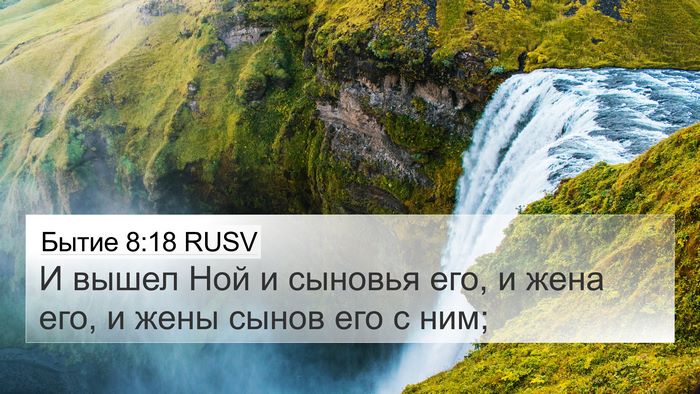 Бытие 8:18 RUSV Bible Verse Image