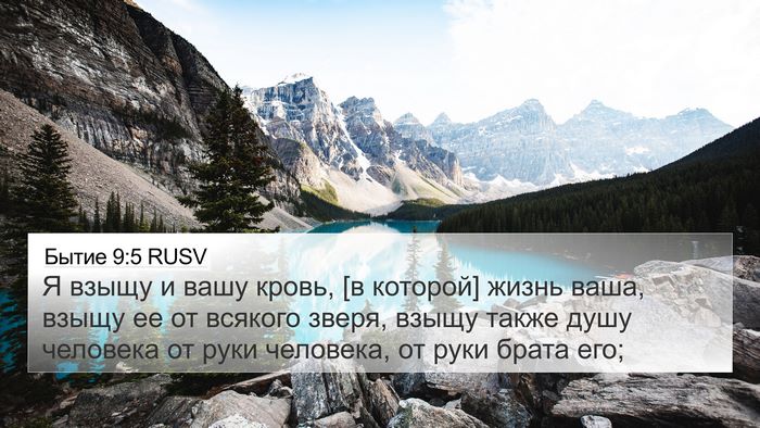 Бытие 9:5 RUSV Bible Verse Image