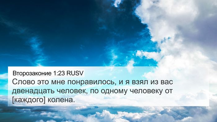 Второзаконие 1:23 RUSV Bible Verse Image