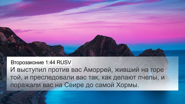Второзаконие 1:44 RUSV Bible Verse Image