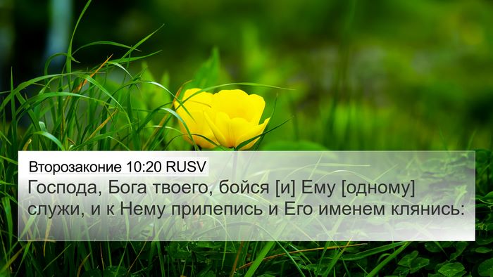 Второзаконие 10:20 RUSV Bible Verse Image
