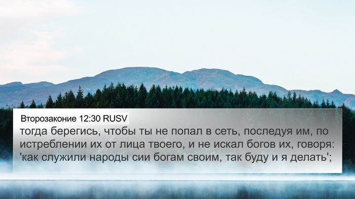 Второзаконие 12:30 RUSV Bible Verse Image