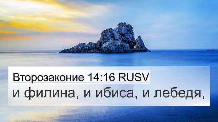 Второзаконие 14:16 RUSV 4K Wallpaper - и филина, и ибиса, и - 4K Wallpaper Bible Verse