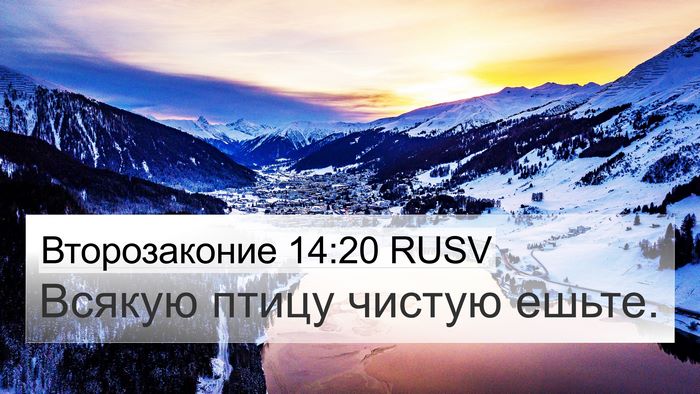 Второзаконие 14:20 RUSV 4K Wallpaper - Всякую птицу чистую - 4K Wallpaper Bible Verse