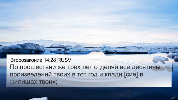 Второзаконие 14:28 RUSV Bible Verse Image