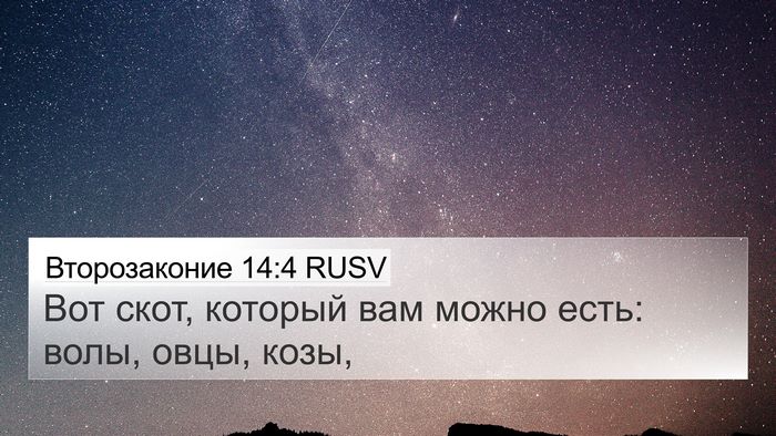 Второзаконие 14:4 RUSV 4K Wallpaper - Вот скот, который вам можно - 4K Wallpaper Bible Verse