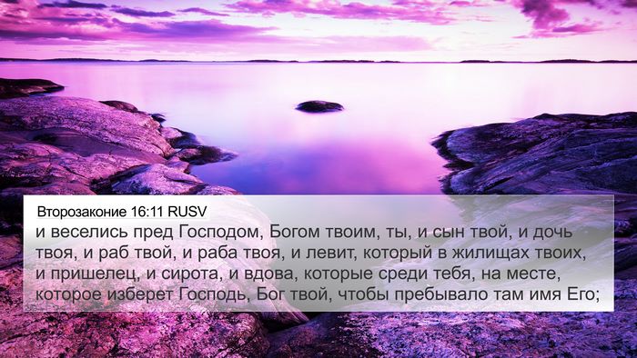 Второзаконие 16:11 RUSV Bible Verse Image