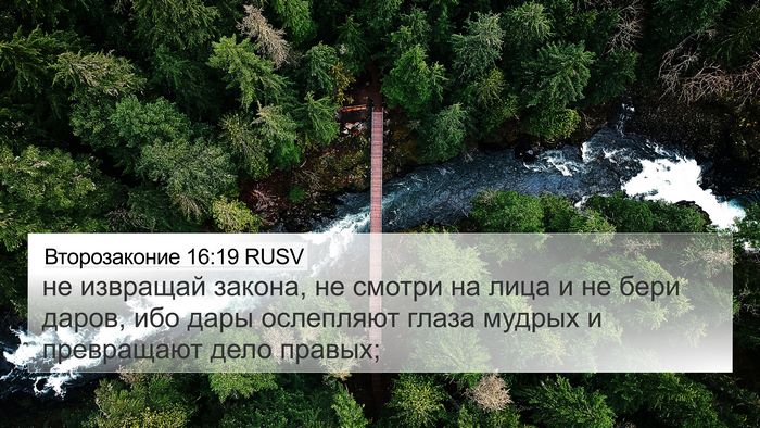 Второзаконие 16:19 RUSV Bible Verse Image