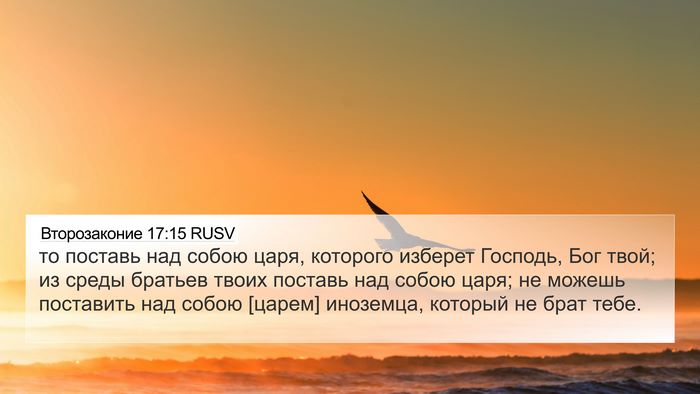 Второзаконие 17:15 RUSV Bible Verse Image