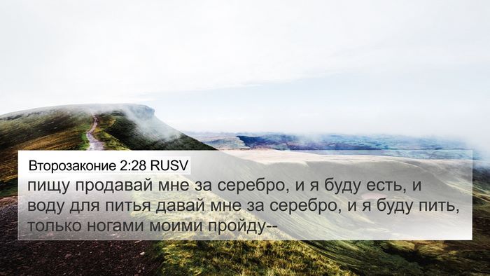 Второзаконие 2:28 RUSV Bible Verse Image