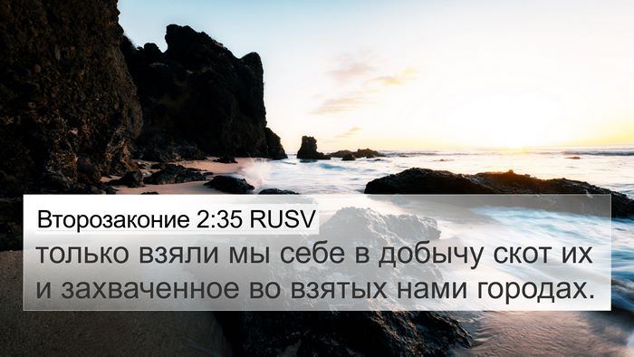 Второзаконие 2:35 RUSV Bible Verse Image