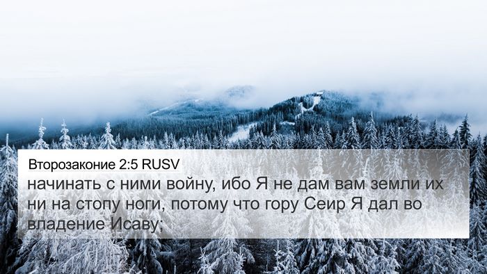 Второзаконие 2:5 RUSV 4K Wallpaper - начинать с ними войну, ибо - 4K Wallpaper Bible Verse