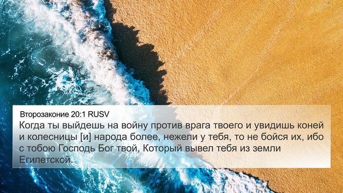Второзаконие 20:1 RUSV Bible Verse Image