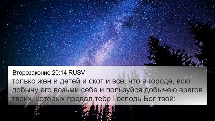 Второзаконие 20:14 RUSV Bible Verse Image