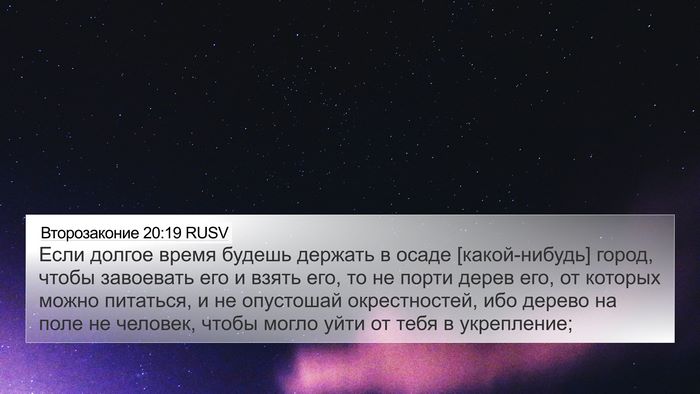 Второзаконие 20:19 RUSV Bible Verse Image
