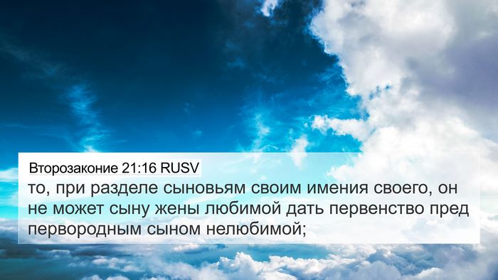Второзаконие 21:16 RUSV Bible Verse Image