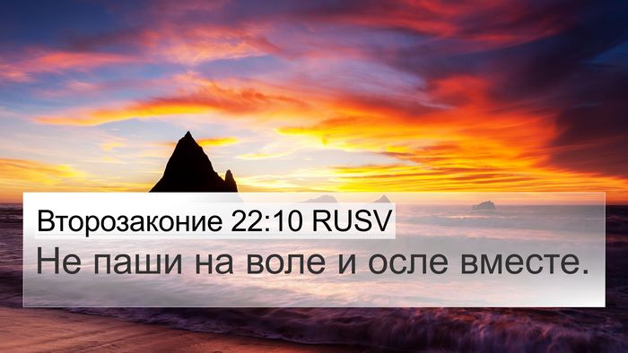 Второзаконие 22:10 RUSV 4K Wallpaper - Не паши на воле и осле - 4K Wallpaper Bible Verse