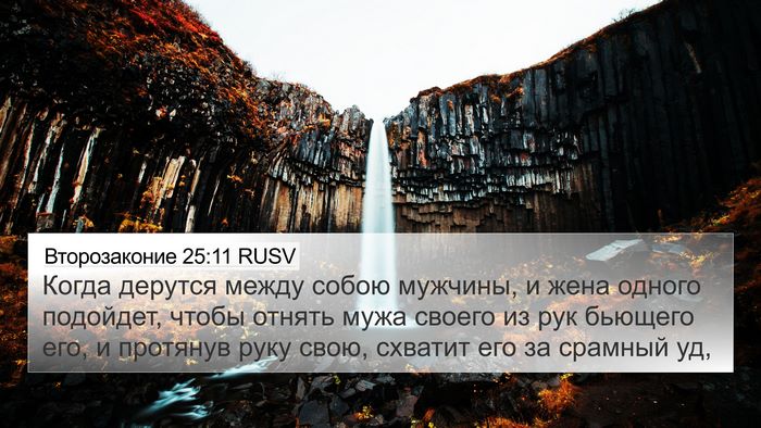 Второзаконие 25:11 RUSV Bible Verse Image