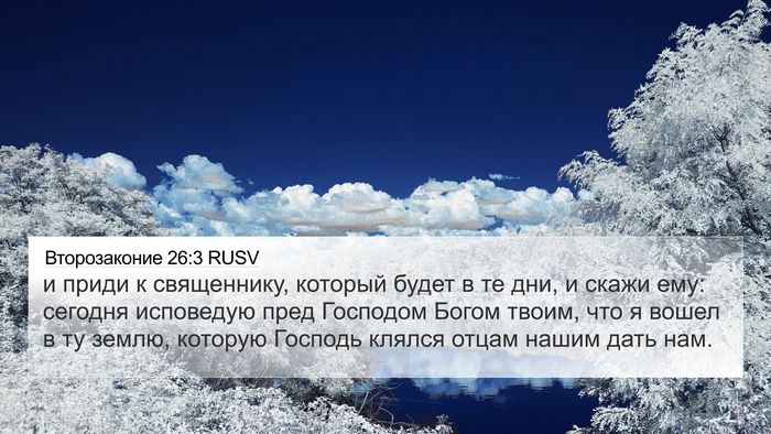 Второзаконие 26:3 RUSV 4K Wallpaper - и приди к священнику, - 4K Wallpaper Bible Verse