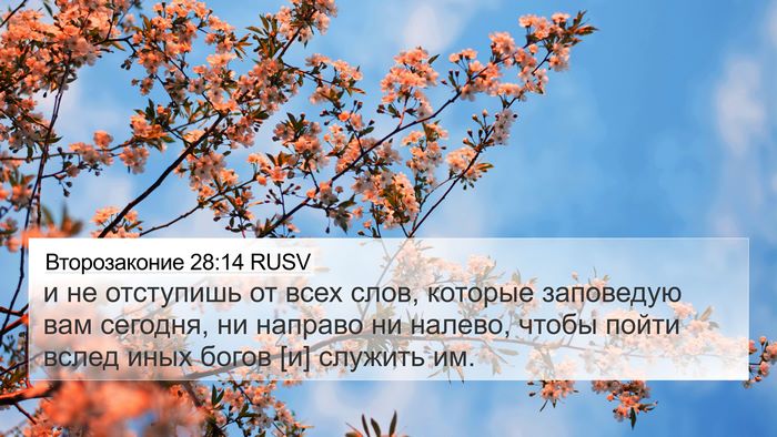 Второзаконие 28:14 RUSV Bible Verse Image