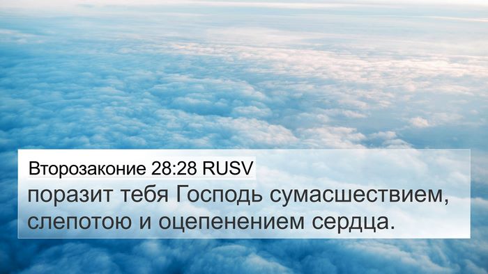 Второзаконие 28:28 RUSV Bible Verse Image
