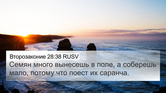 Второзаконие 28:38 RUSV Bible Verse Image