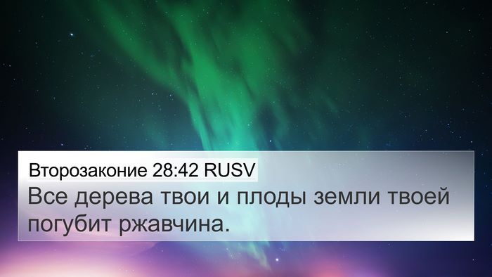 Второзаконие 28:42 RUSV Bible Verse Image