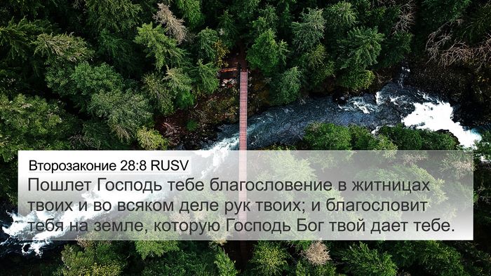 Второзаконие 28:8 RUSV Bible Verse Image
