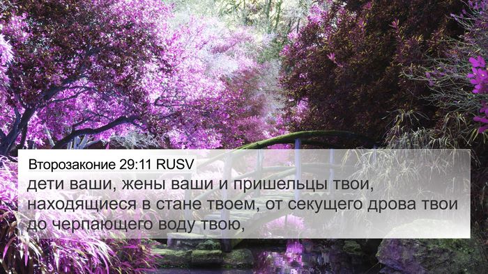 Второзаконие 29:11 RUSV Bible Verse Image