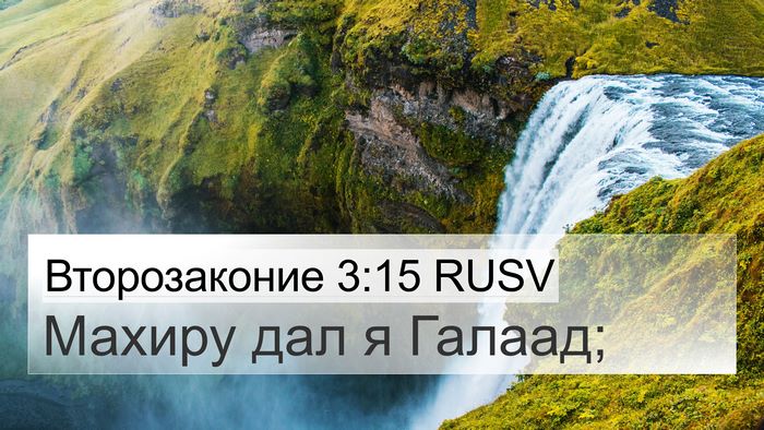 Второзаконие 3:15 RUSV Bible Verse Image