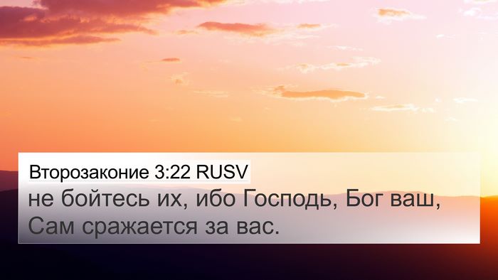 Второзаконие 3:22 RUSV Bible Verse Image